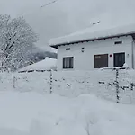 Miracle чудеса Vurșeț