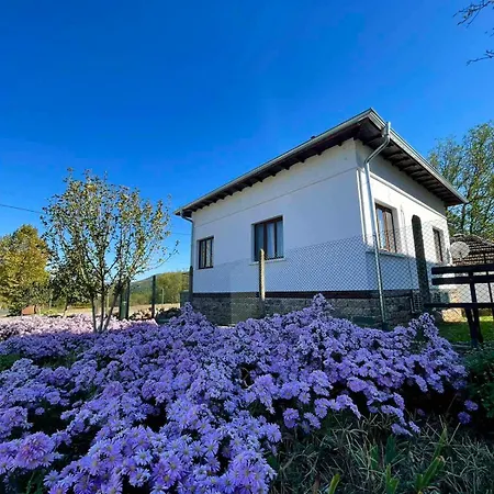 Miracle чудеса * וארשץ