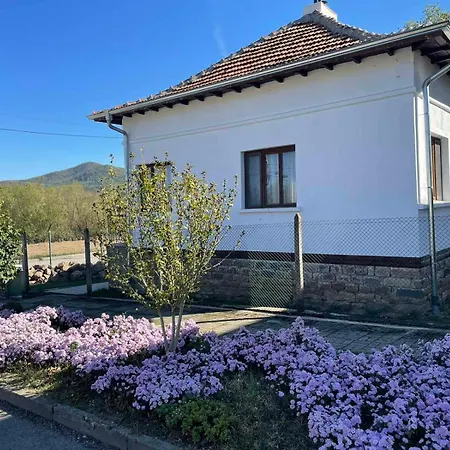 بيت للعطل Miracle чудеса