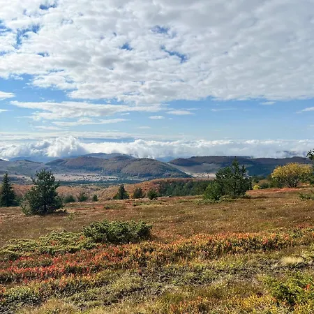 Miracle чудеса 펜션 바르셰츠