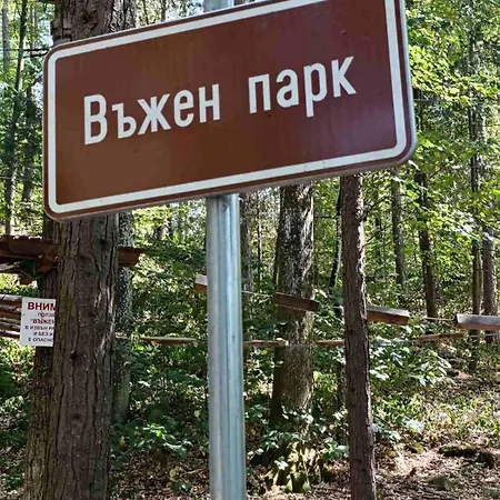 Miracle чудеса Вършец