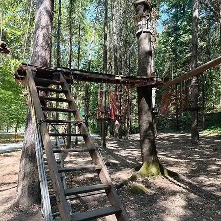 Miracle чудеса